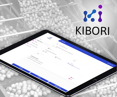 Kibori